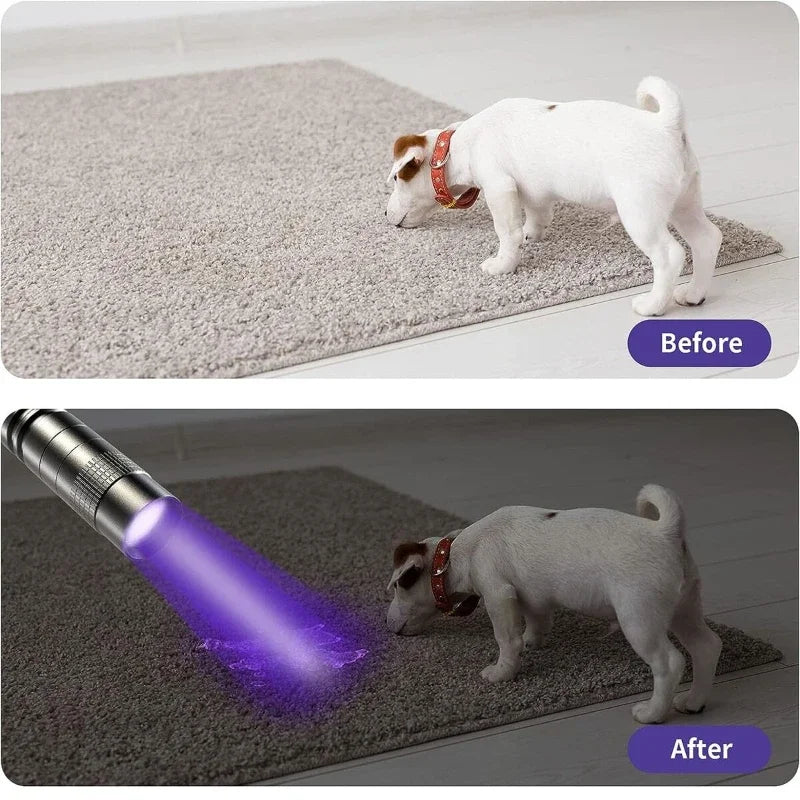 Shopdroplo™ UV Flashlight 395nm – Mini Ultraviolet Torch with Clip for Pet Urine, Scorpion, & Stain Detection
