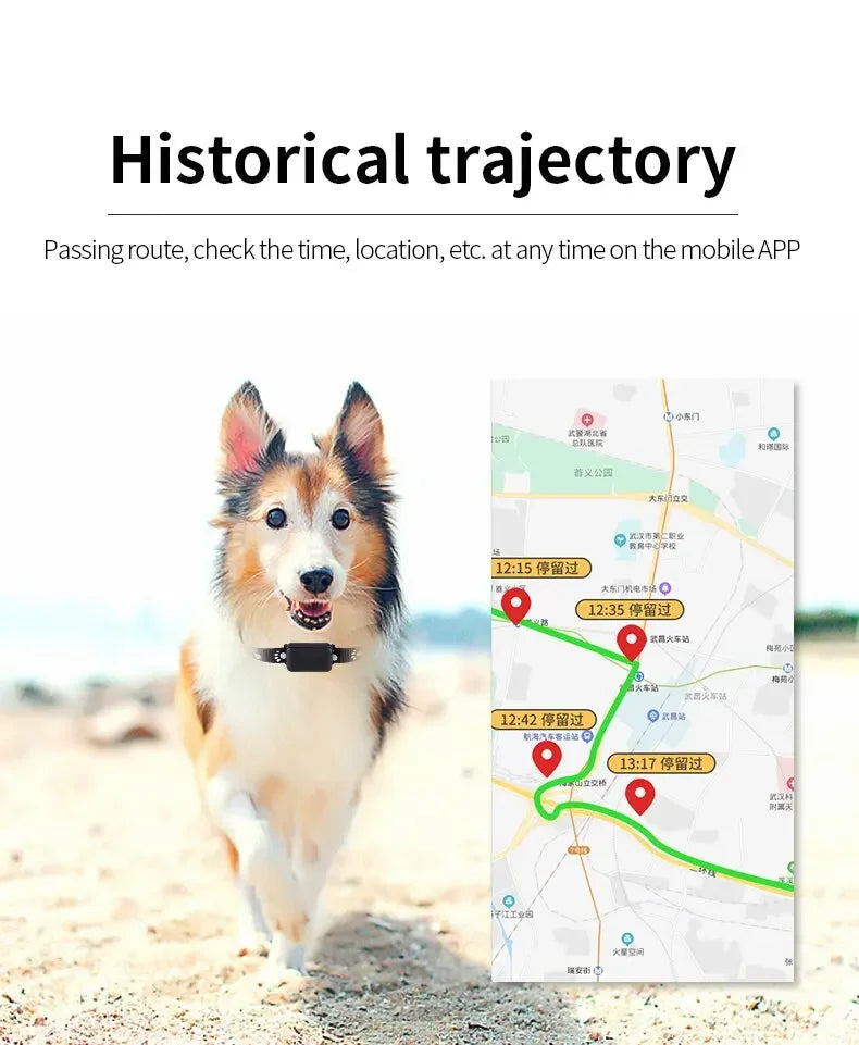 Shopdroplo Waterproof Pet GPS Tracker – Real-Time Location, Adjustable Collar, Remote Control Locator for Cats & Dogs (GSM, AGPS)